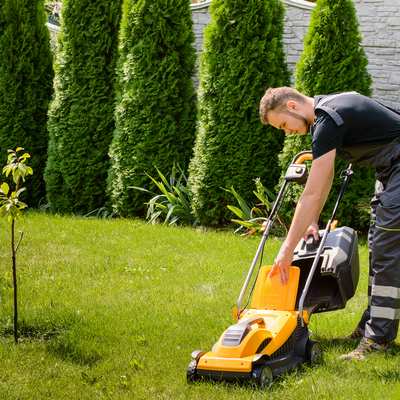 Our Work