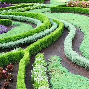 Landscaping Design