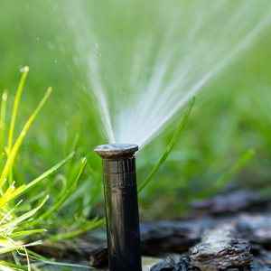 Irrigation System